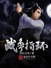 战争指环封面