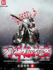 刀拂梅花雪封面