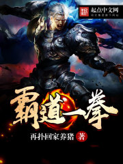 霸道一拳封面