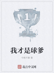 我才是球爹封面
