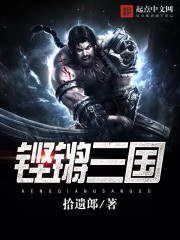 铿锵三国封面