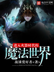 进入火器时代的魔法世界封面