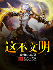 这不文明封面