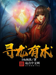 寻龙有术封面