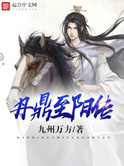 丹鼎至阳传封面