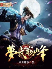 梦武巅峰封面