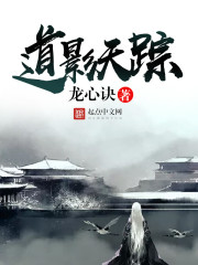 道影天踪封面