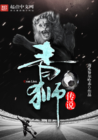 青狮传说封面
