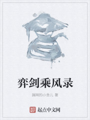 弈剑乘风录封面