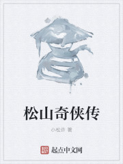 松山奇侠传封面