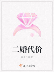 二婚代价封面