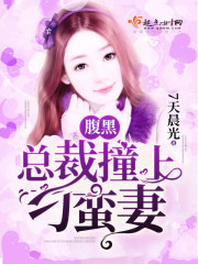 腹黑总裁撞上刁蛮妻封面
