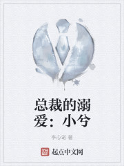 总裁的溺爱：小兮封面