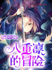 八重凛的冒险封面