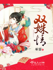 双姝情封面