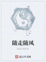 随走随风封面