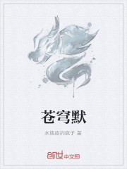 苍穹默封面