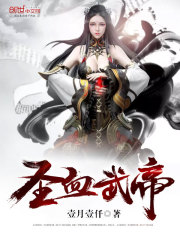 圣血武帝封面