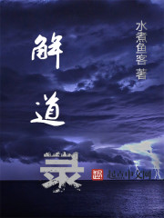 解道录封面