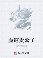魔道贵公子封面