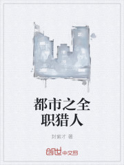 都市之全职猎人封面