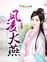 凤凌大燕封面