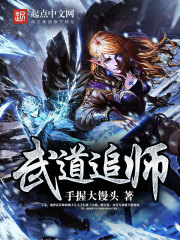 武道追师封面