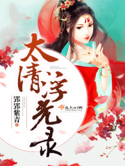 太清浮光录封面