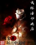 武林浩劫之后封面