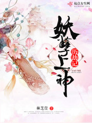 妖孽上神历劫记封面