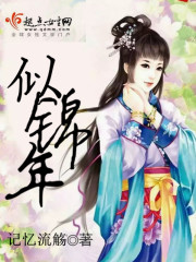 似锦年封面