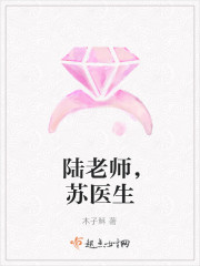 陆老师，苏医生封面