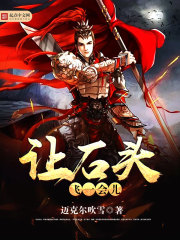 让石头飞一会儿封面