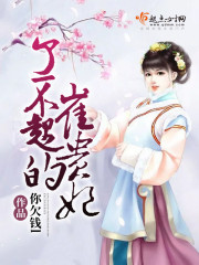 了不起的崔贵妃封面