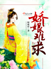 娇娘难求封面