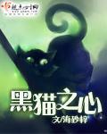 黑猫之心封面