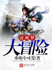 清醒梦大冒险封面