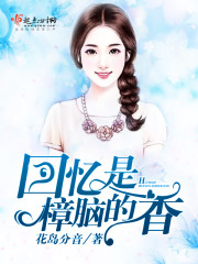回忆是樟脑的香封面