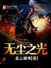无尘之光封面