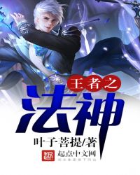 王者之法神封面