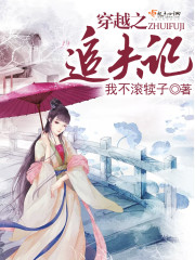 穿越之追夫记封面