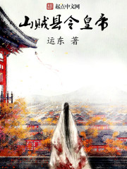 山贼县令皇帝封面