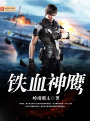 铁血神鹰封面