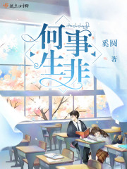 何事生非封面