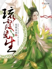 琉霞瓷生封面