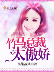 竹马总裁太傲娇封面