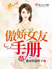 傲娇女友手册封面