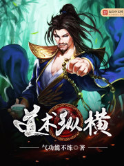 道术纵横封面