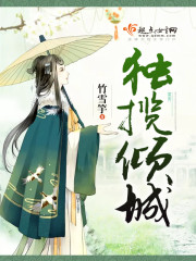独揽倾城封面
