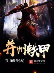 并州铁甲封面